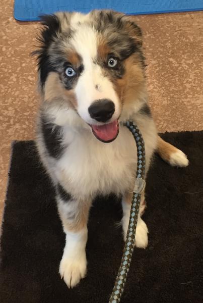 Remy