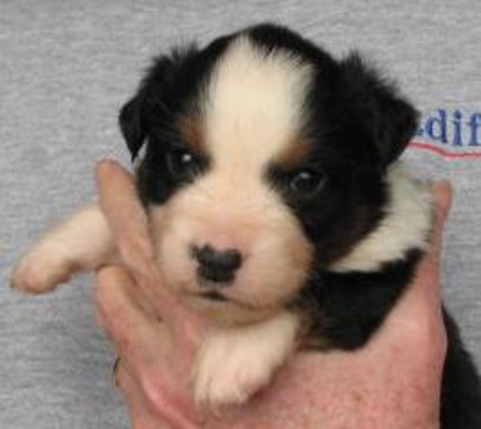 Tucker