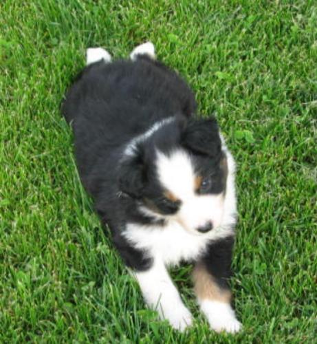 Tucker