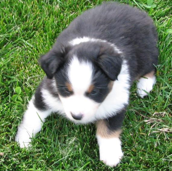 Tucker