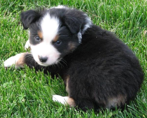 Tucker