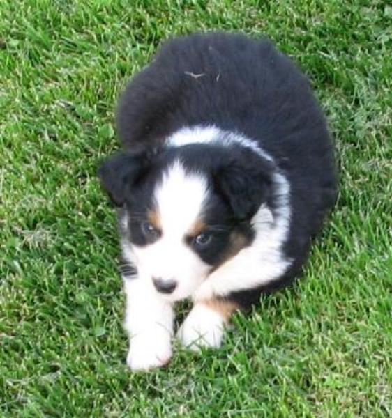 Tucker