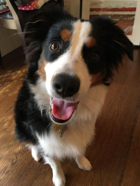 Tucker
