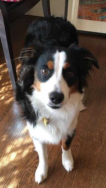 Tucker