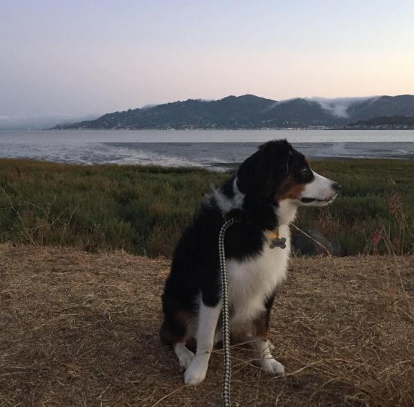 Tucker
