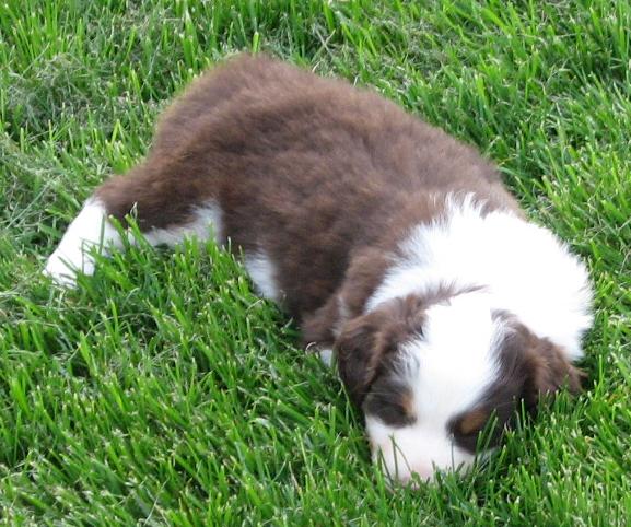 Quincy