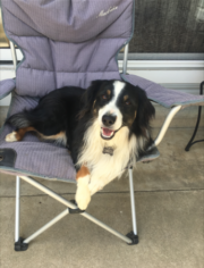 Oreo