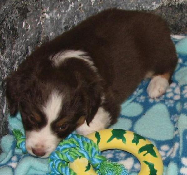 Penny