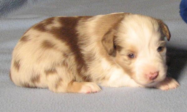 Abby