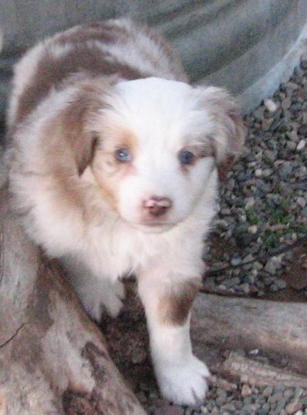 Abby