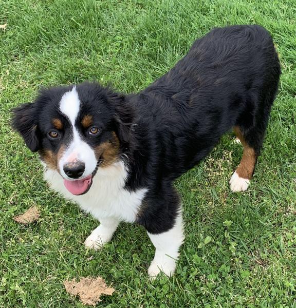 Reggie