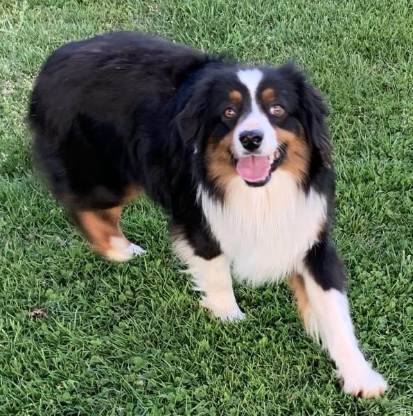 Reggie