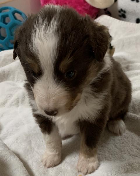 Maggie