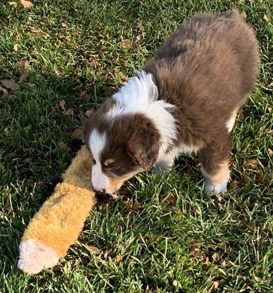 Maggie
