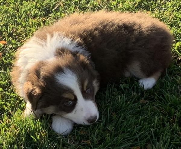 Maggie