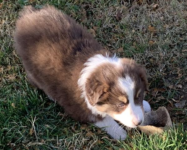Maggie