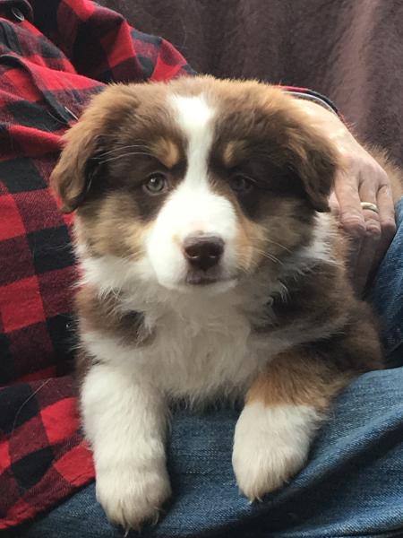 Maggie