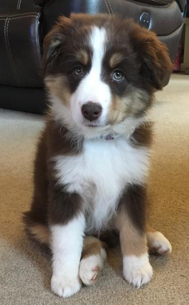 Maggie