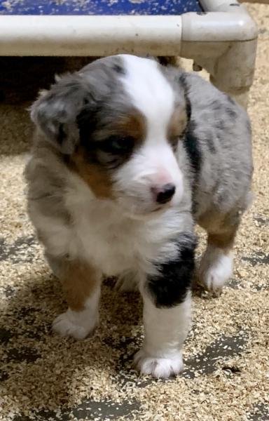 Chance Jr