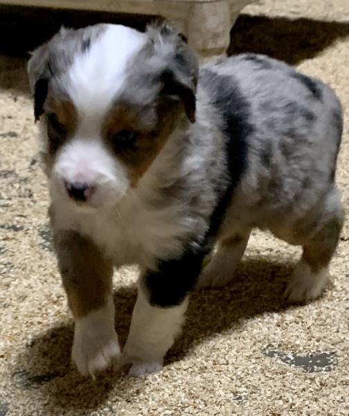 Chance Jr