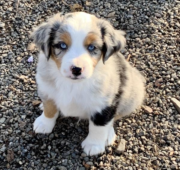 Chance Jr