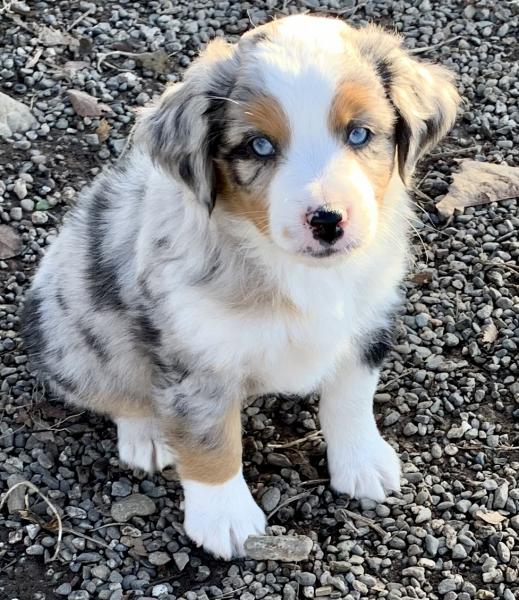 Chance Jr