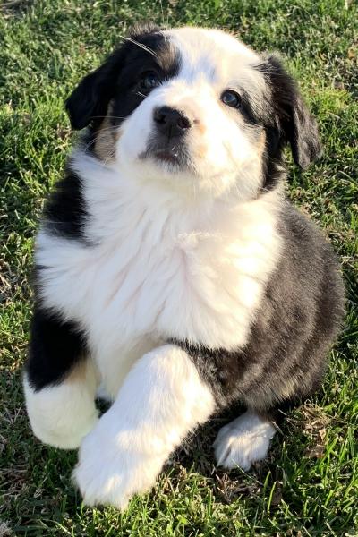Zoey