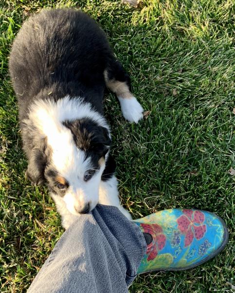 Zoey