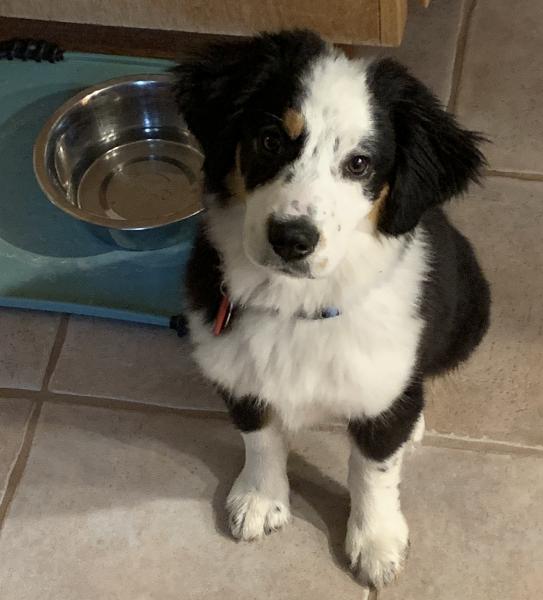 Zoey