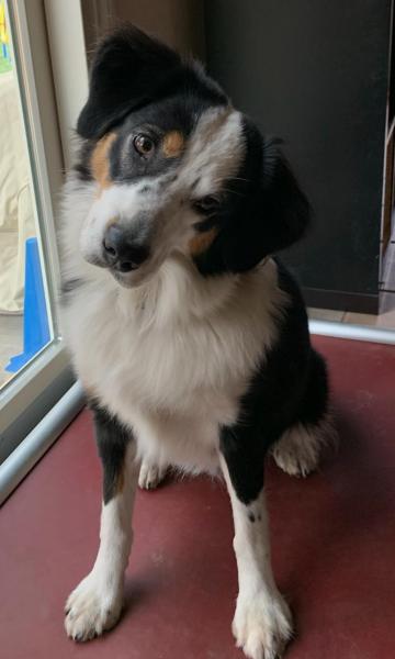Zoey