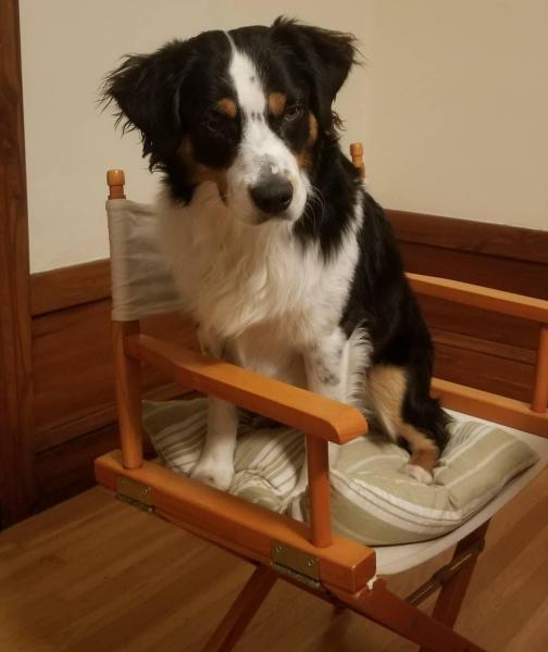 Basil