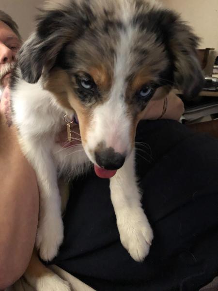 Shiloh