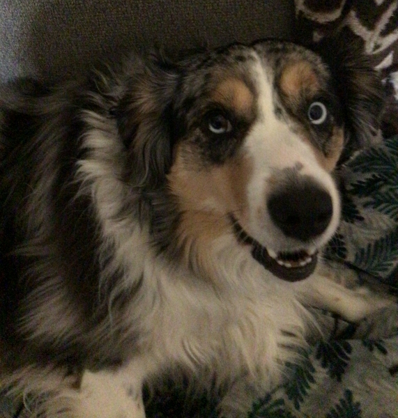 Shiloh