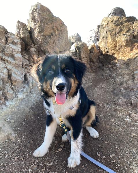 Lila