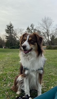 Juno