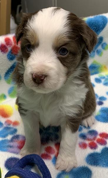 Skye
