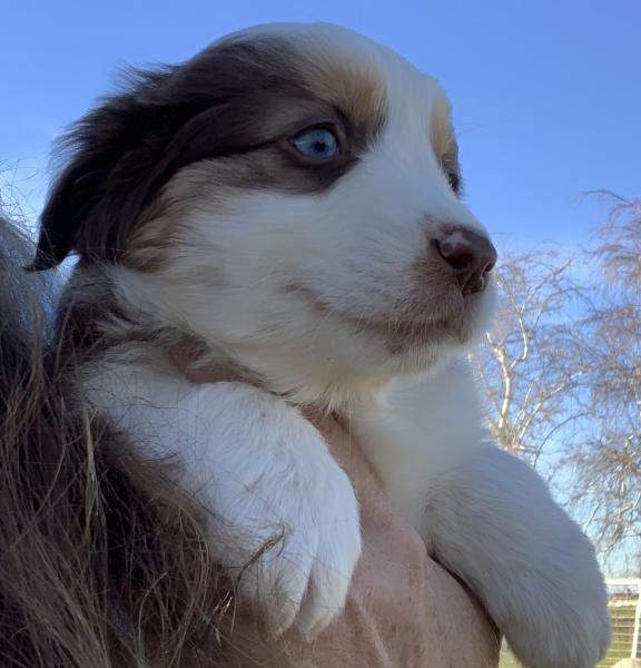 Skye
