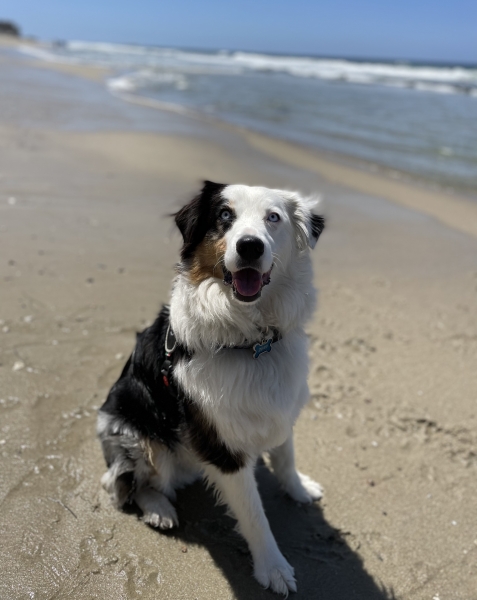Zuko