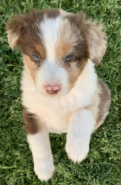 almost 7 weeks old