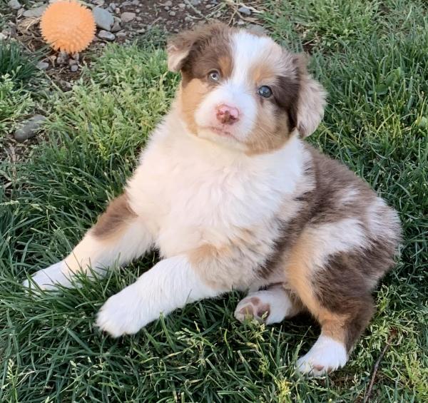 almost 7 weeks old