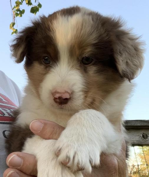almost 7 weeks old