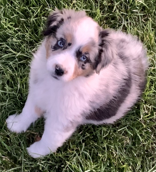 Ellie