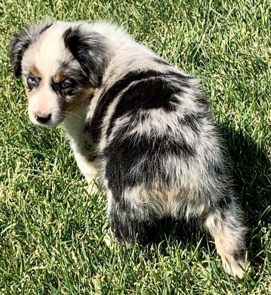 Ellie
