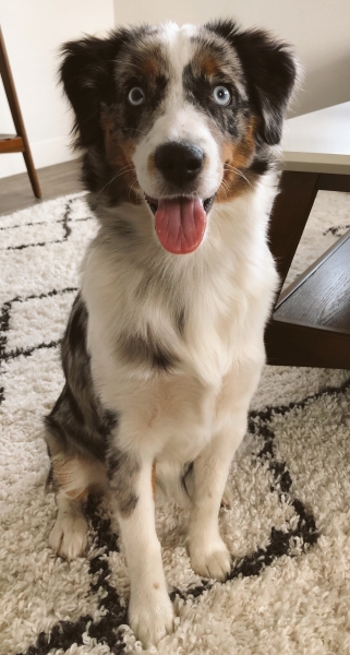 Ellie