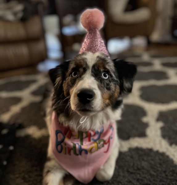 Ellie
