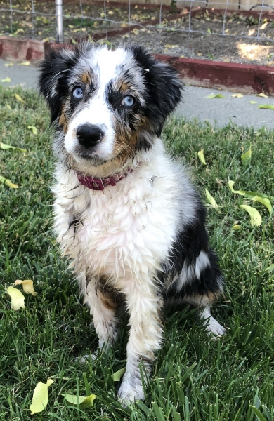 Ellie