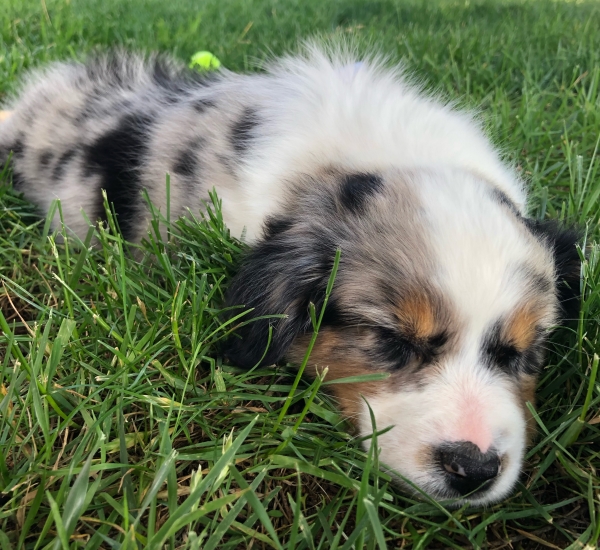 Ellie