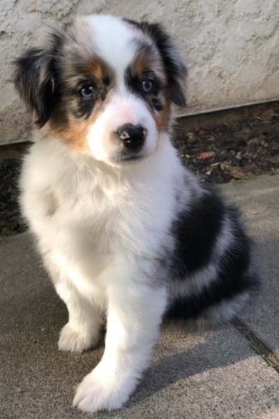 Ellie