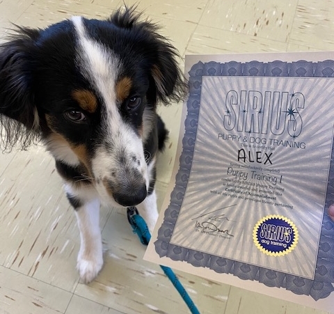 Alex