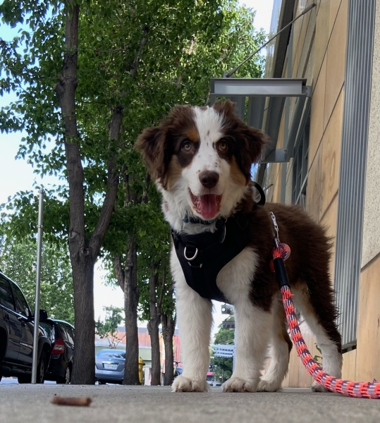 Jax